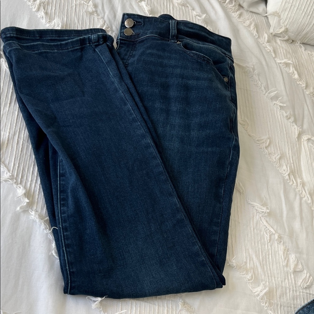 Lane Bryant Dark Blue Skinny Jeans